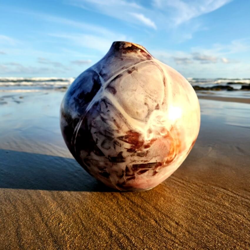 IMG_20231025_191158_248